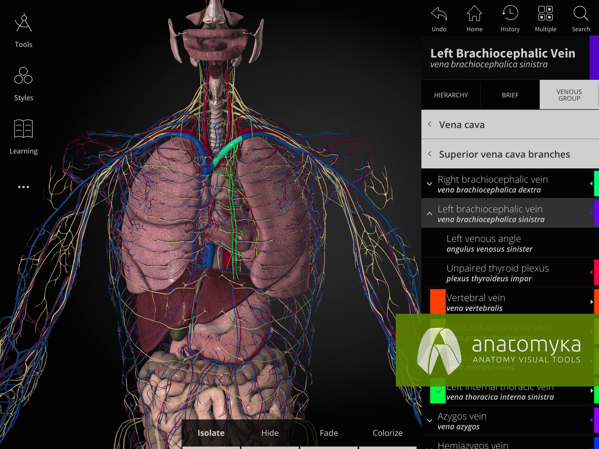 3D human anatomy education app l Anatomyka