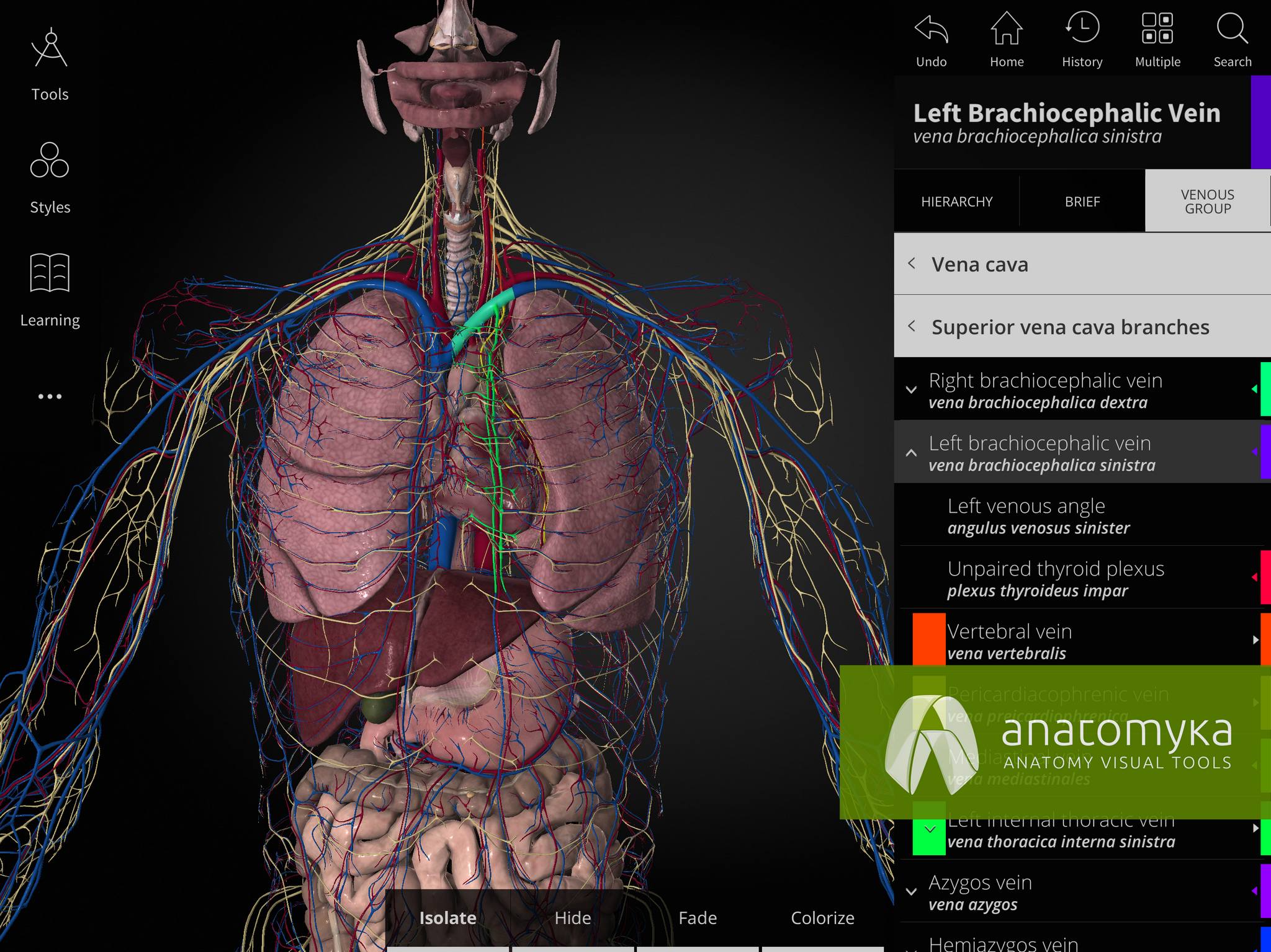 3D Human Anatomy App Perfect For Students And Lecturersl Anatomyka