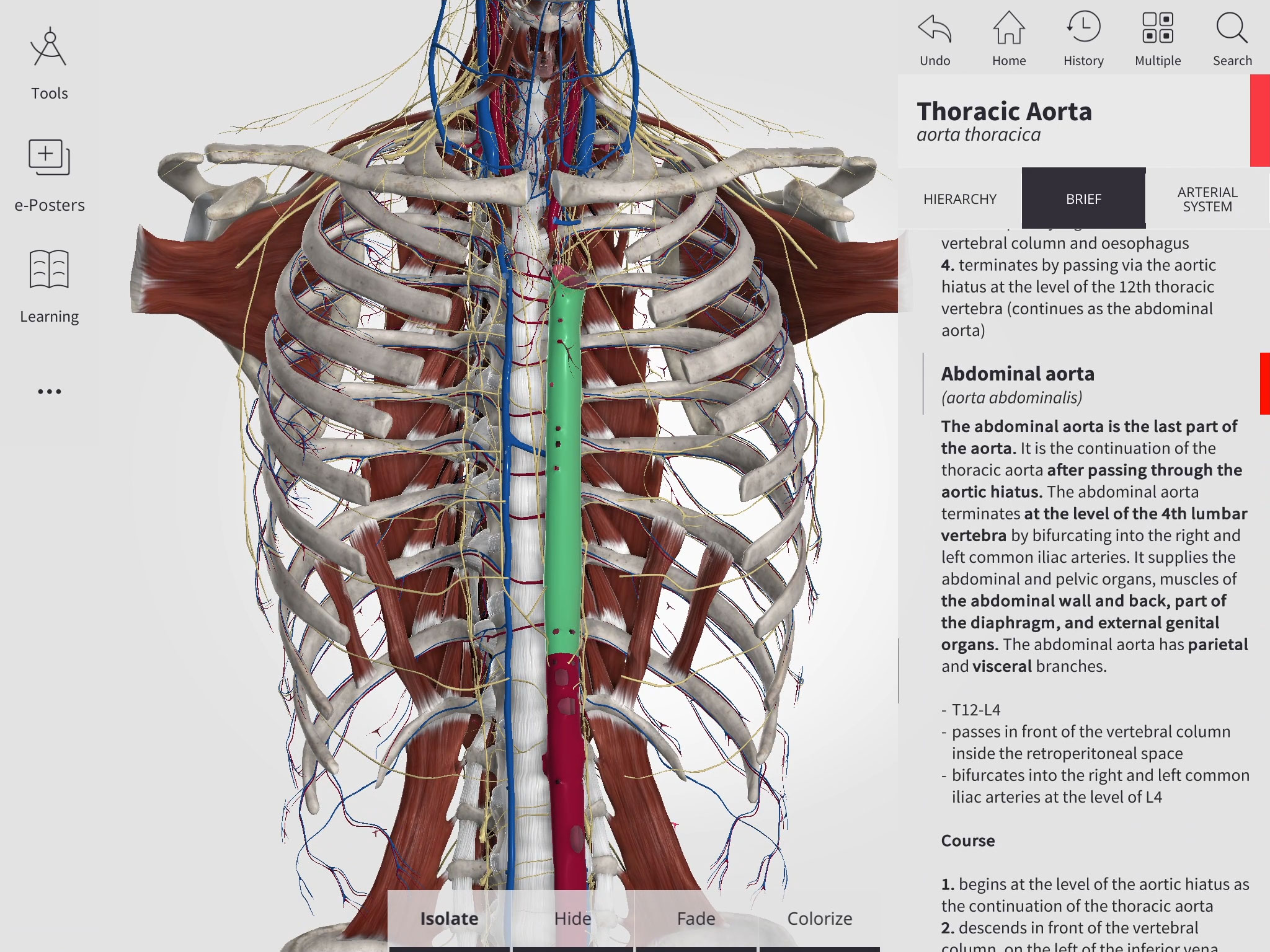 Anatomyka 3d Human Anatomy Atlas Apk 190 Download For