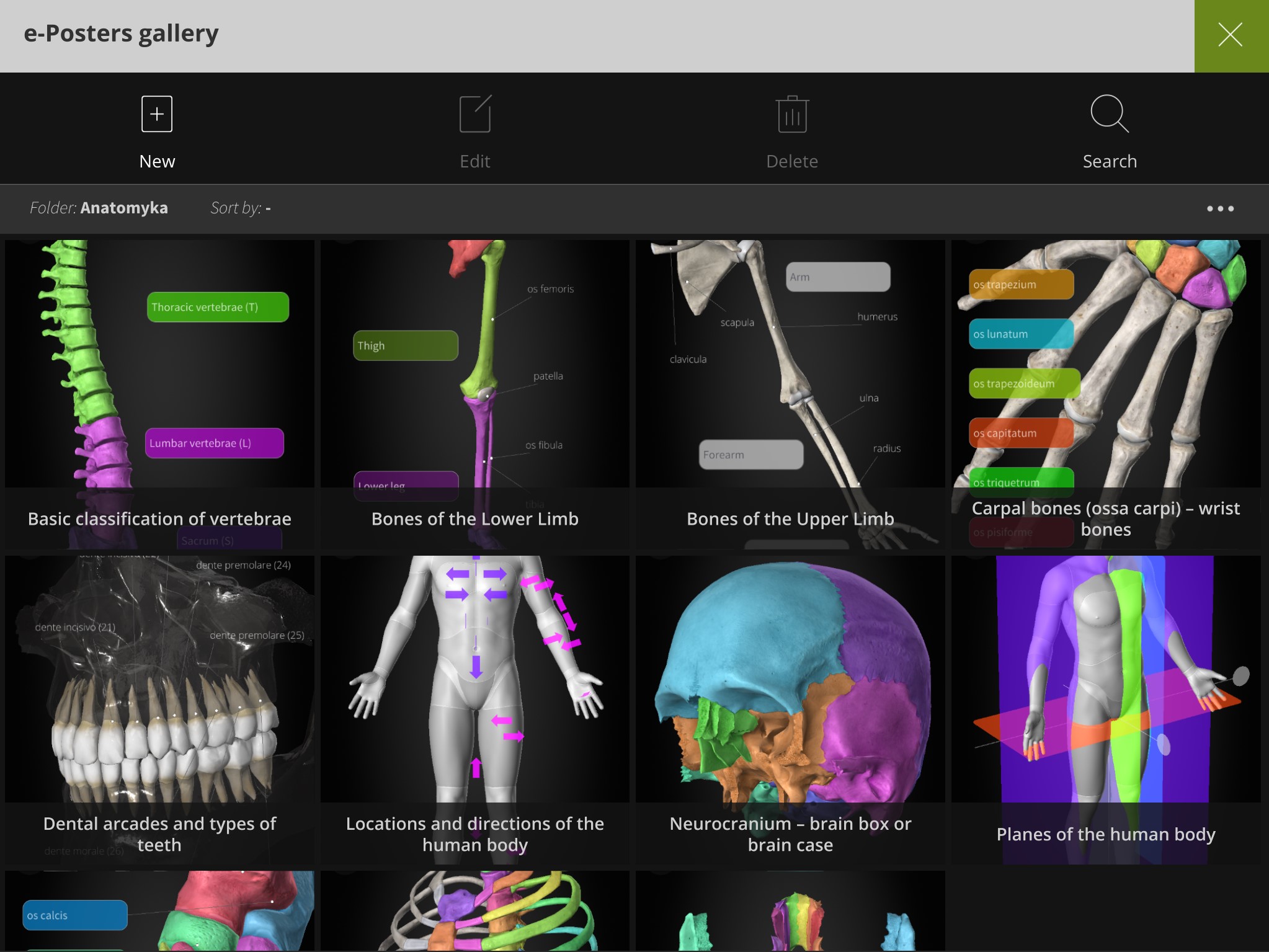 Anatomyka 3d Human Anatomy Atlas Apk 190 Download For