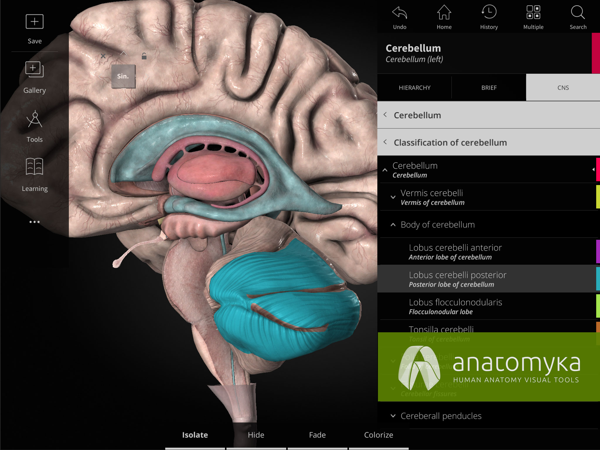 Human Anatomy App