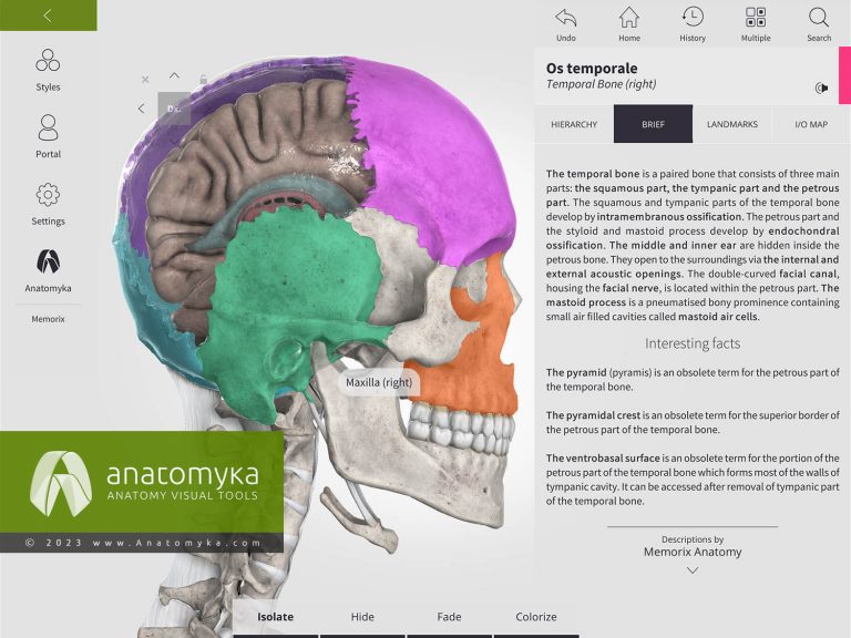 Anatomyka - 3D human anatomy app