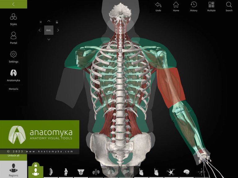 Anatomyka - 3D human anatomy app