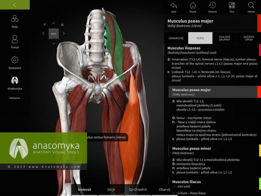 Anatomyka - aplikace pro výuku anatomie člověka