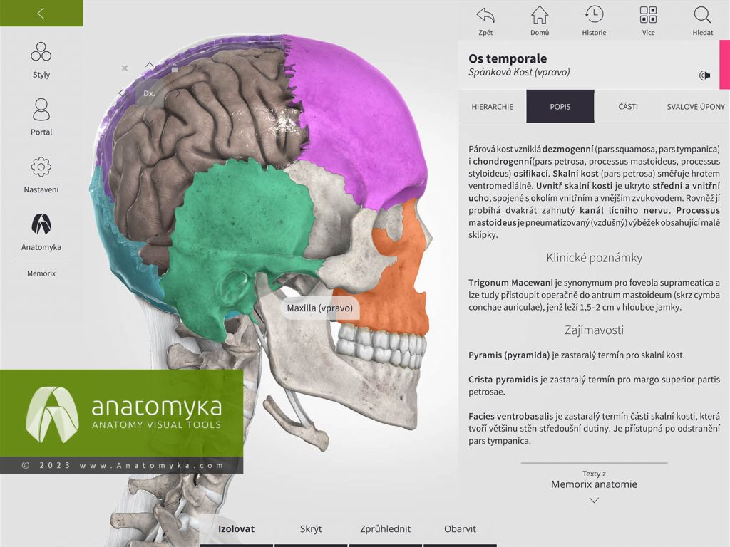 Anatomyka - aplikace pro výuku anatomie člověka