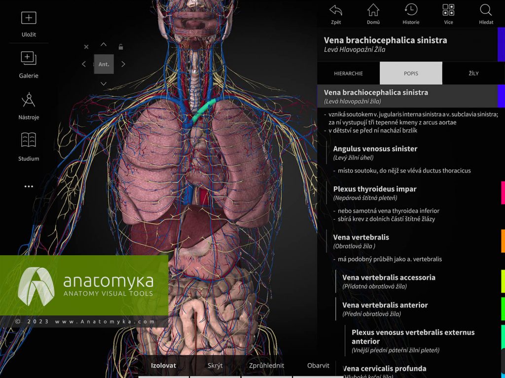 Anatomyka - aplikace pro výuku anatomie člověka