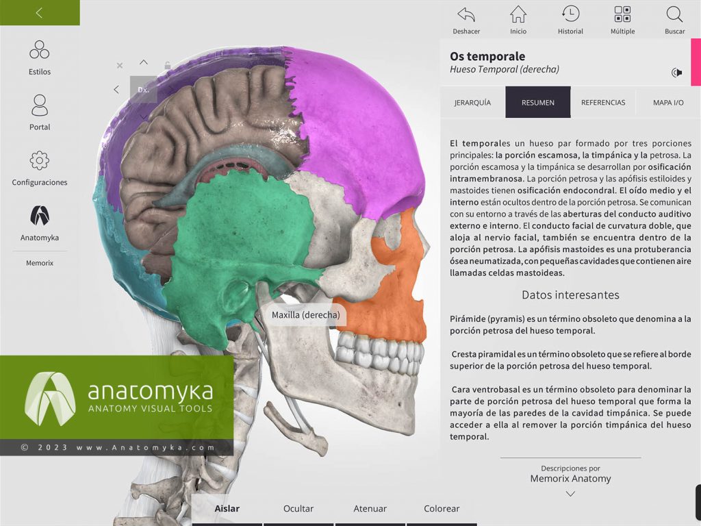 Anatomyka - aplicación para la enseñanza de la anatomía humana