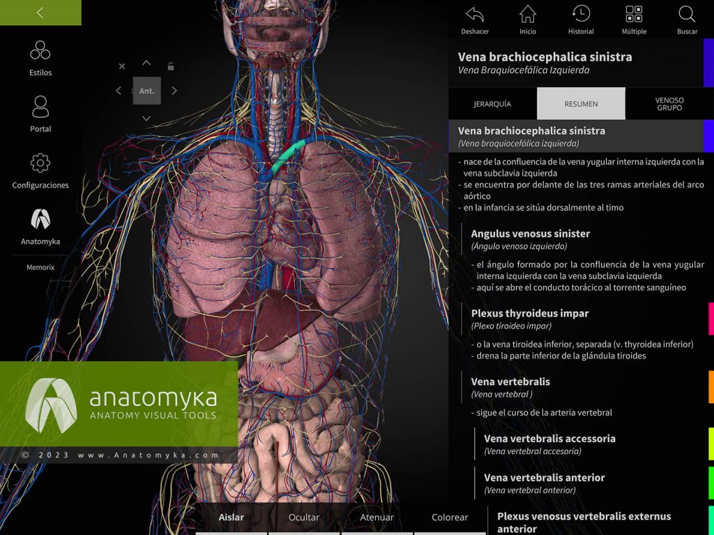 Anatomyka - aplicación para la enseñanza de la anatomía humana