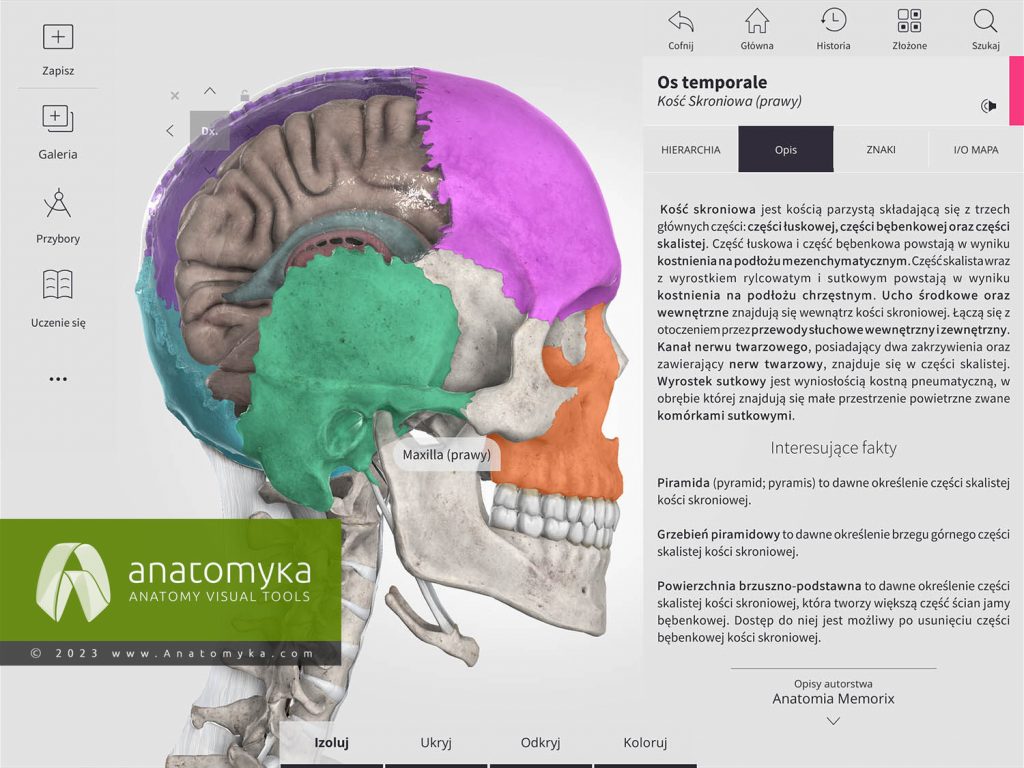 Anatomyka - aplikacja do nauczania anatomii człowieka