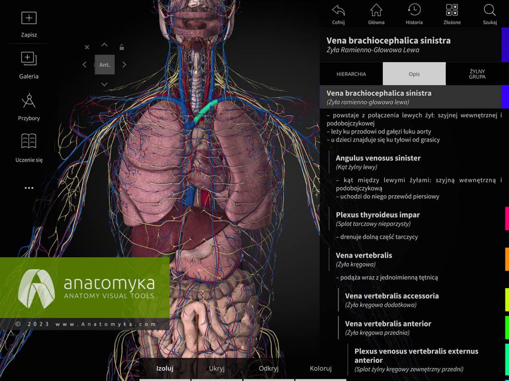 Anatomyka - aplikacja do nauczania anatomii człowieka