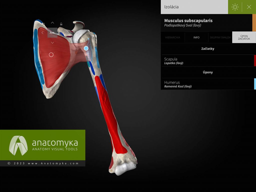 Anatomyka - aplikácia pre výučbu anatómie človeka