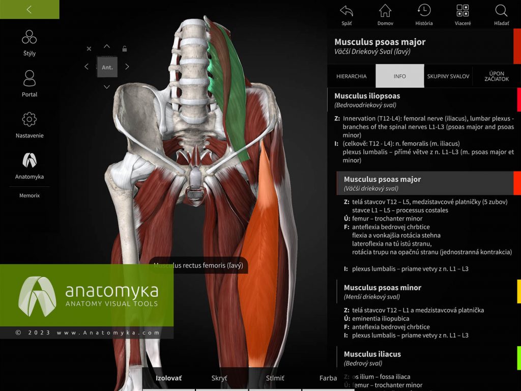 Anatomyka - aplikácia pre výučbu anatómie človeka