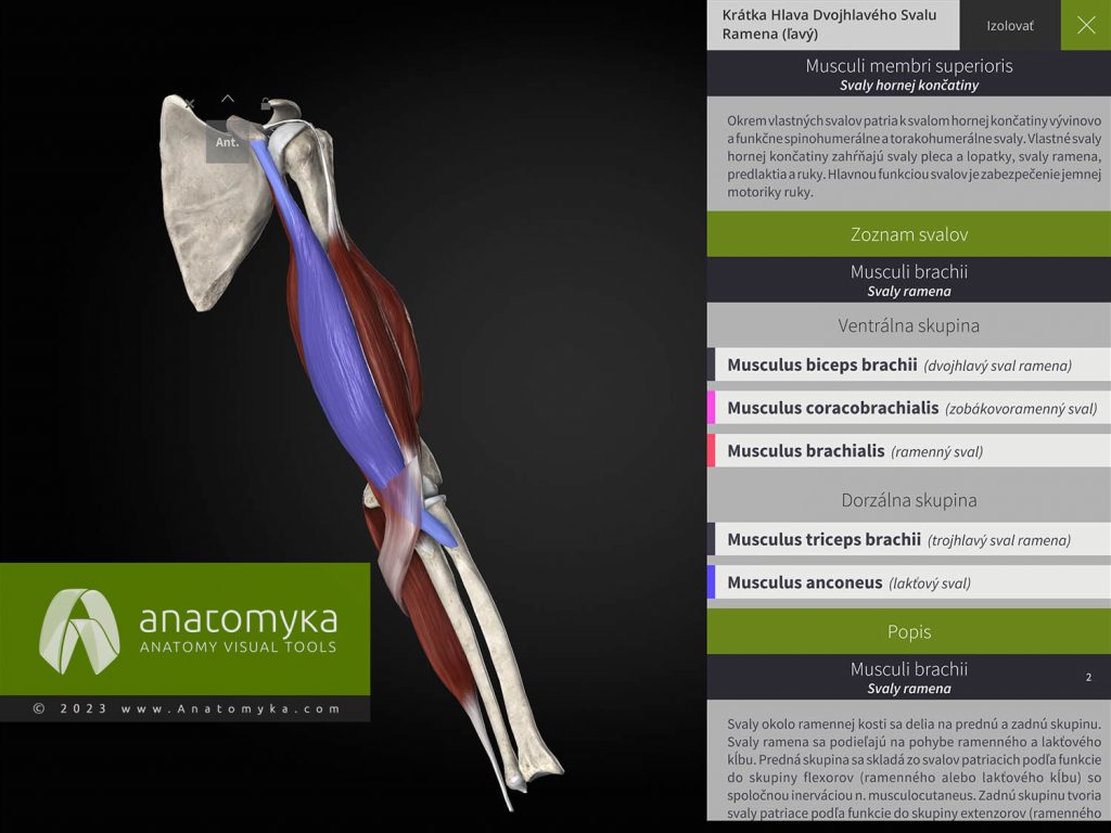 Anatomyka - aplikácia pre výučbu anatómie človeka