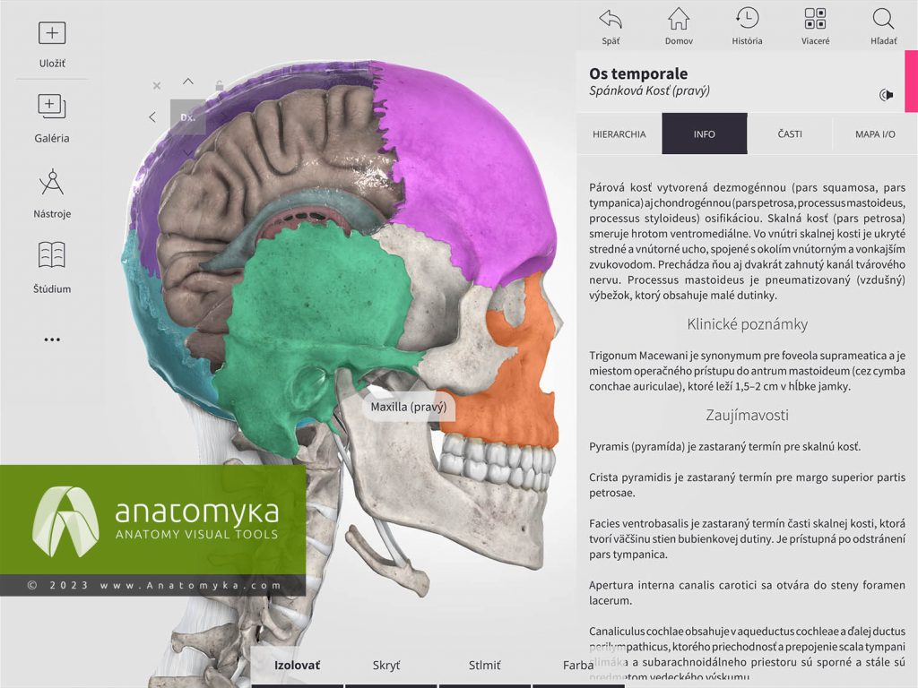 Anatomyka - aplikácia pre výučbu anatómie človeka