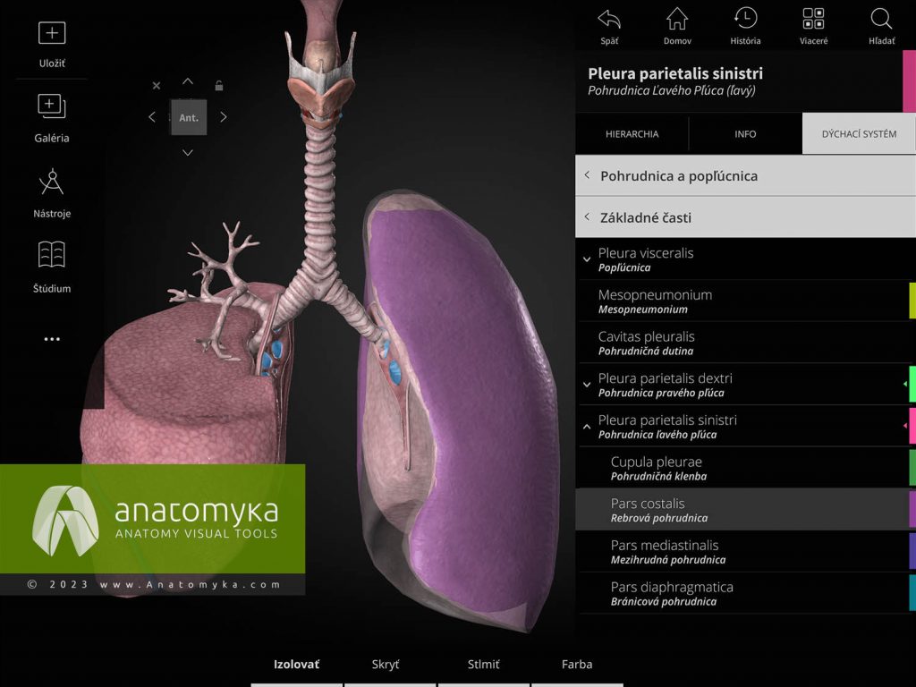 Anatomyka - aplikácia pre výučbu anatómie človeka