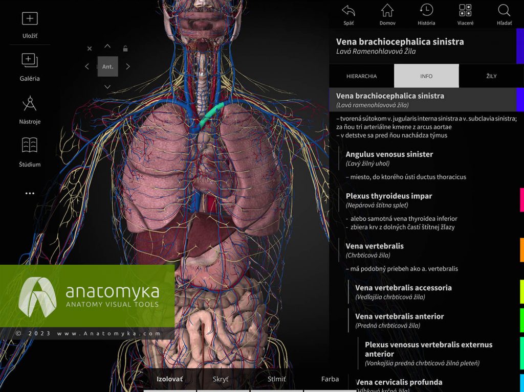 Anatomyka - aplikácia pre výučbu anatómie človeka