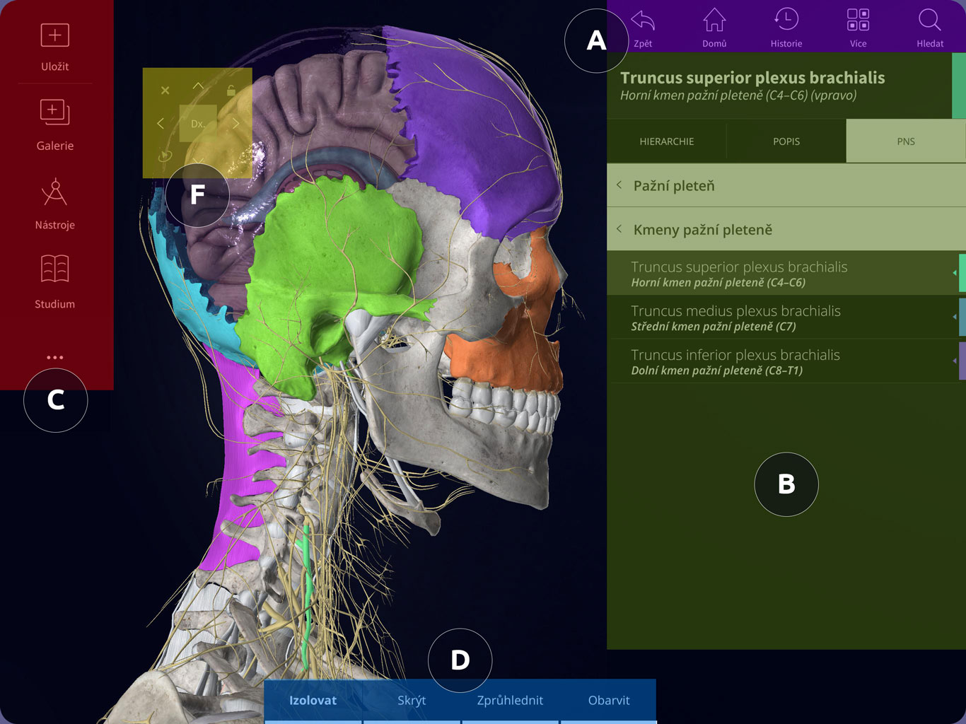 Uživatelské rozhraní Anatomyka