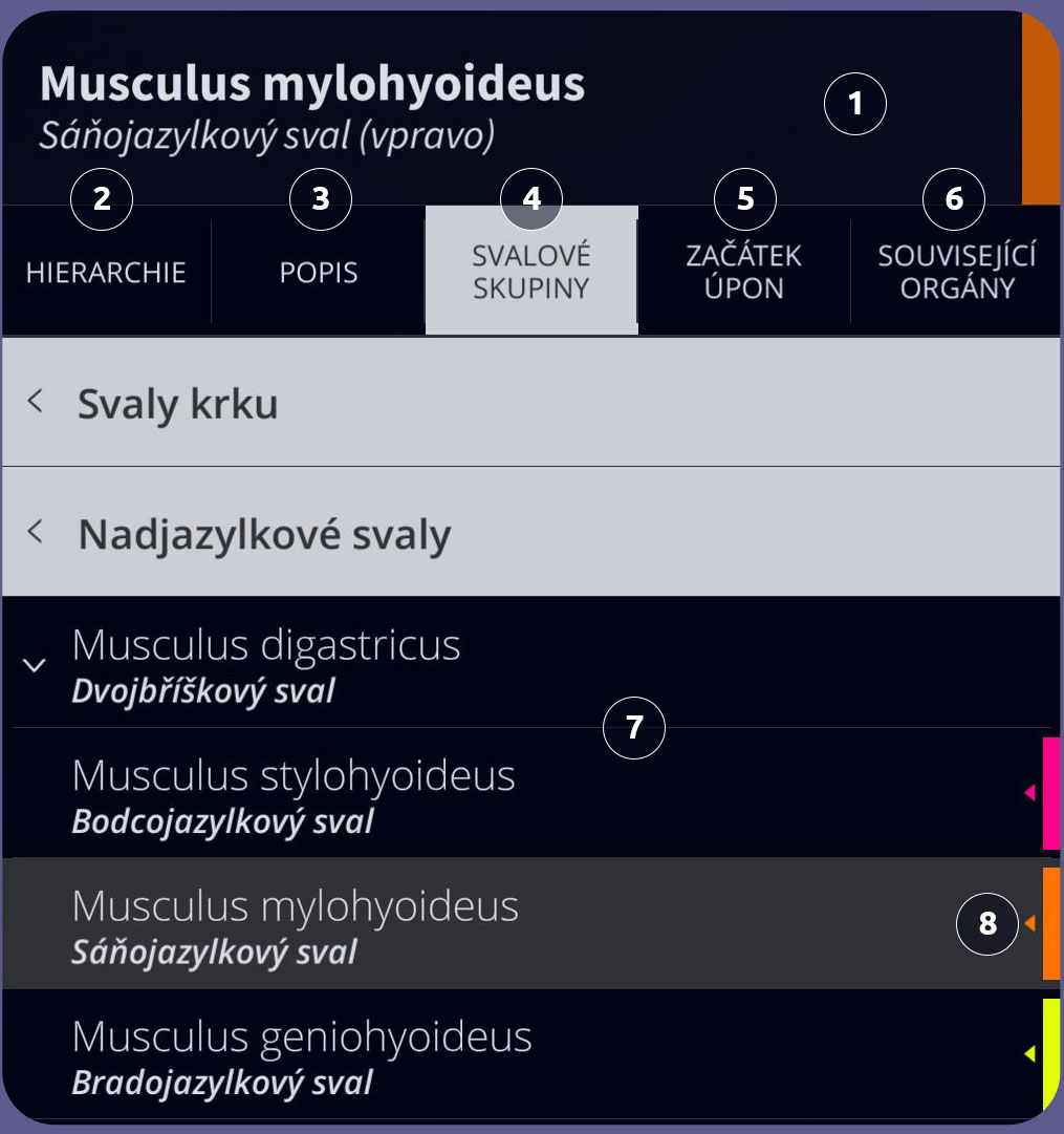 Uživatelské rozhraní Anatomyka