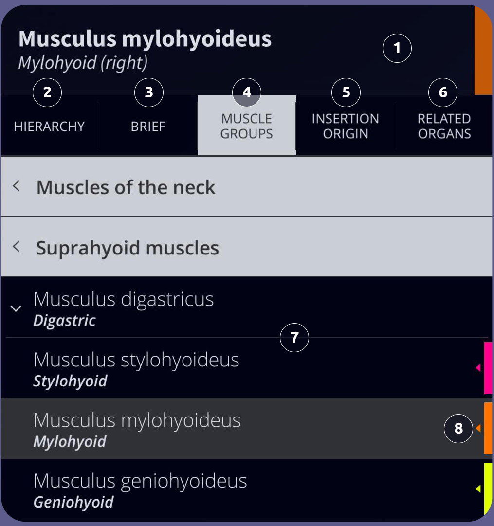 Anatomyka User interface