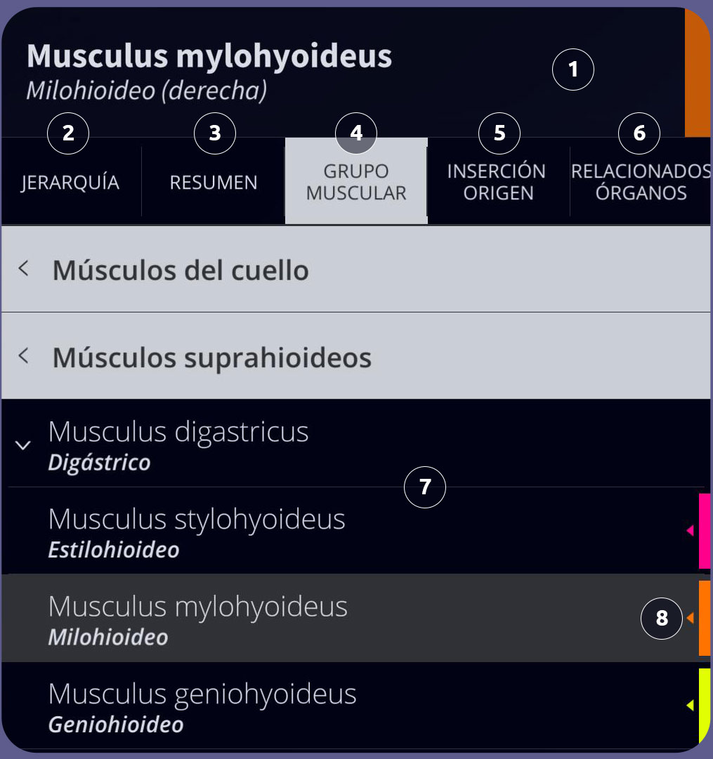 Interfaz de usuario de Anatomyka