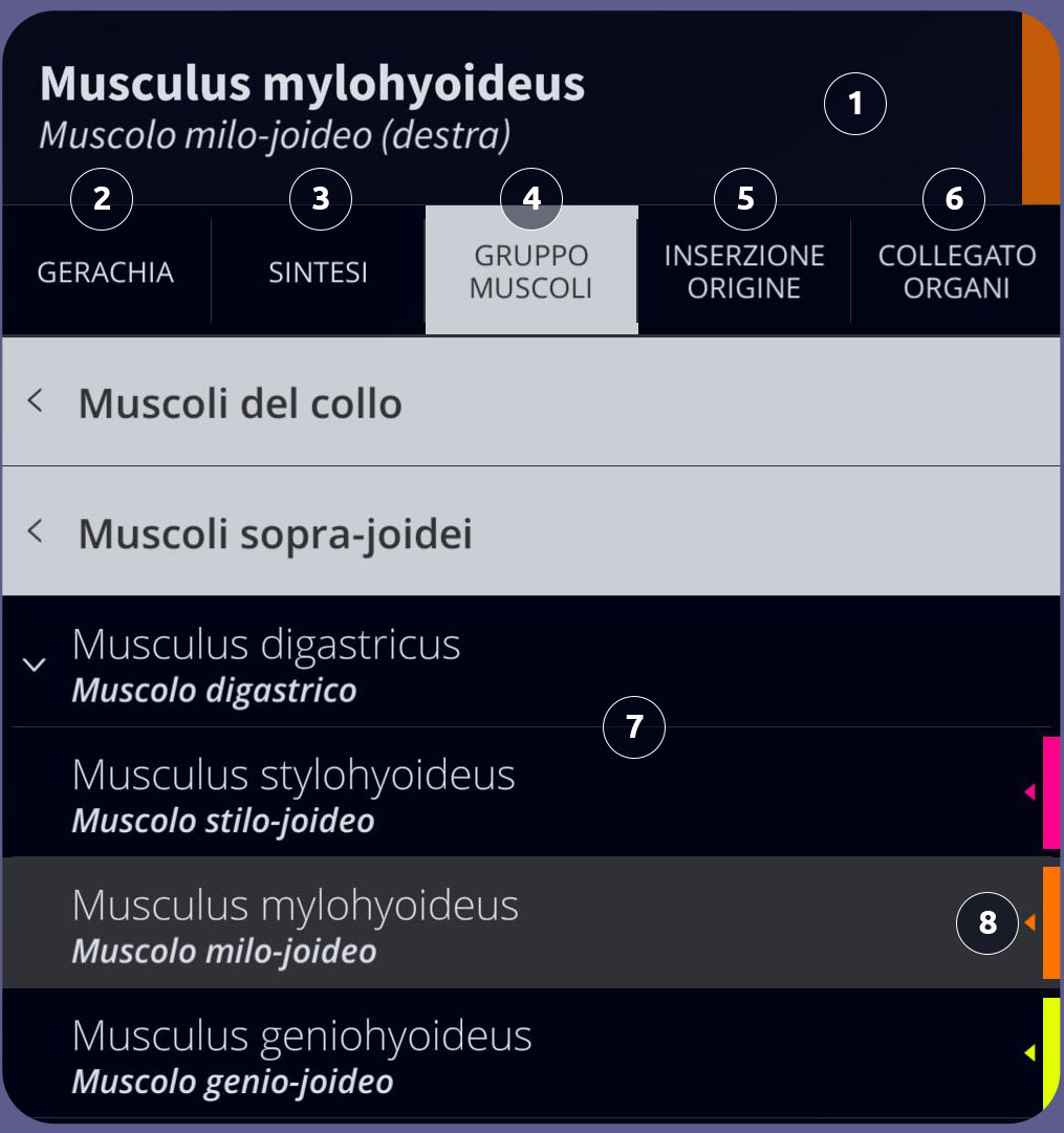 Interfaccia utente di Anatomyka