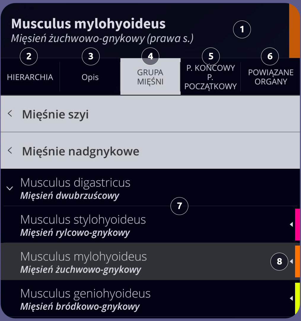 Interfejs użytkownika Anatomyka