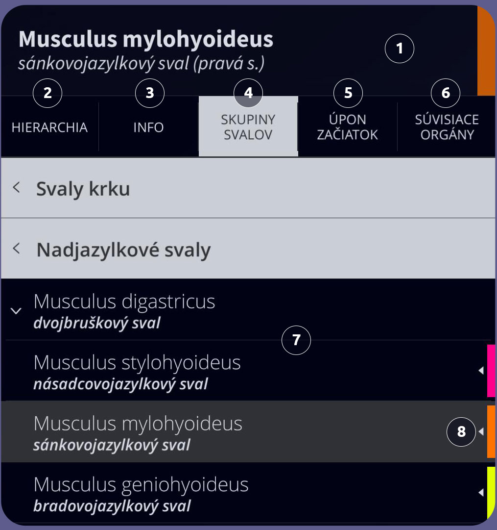 Používateľské rozhranie Anatomyka