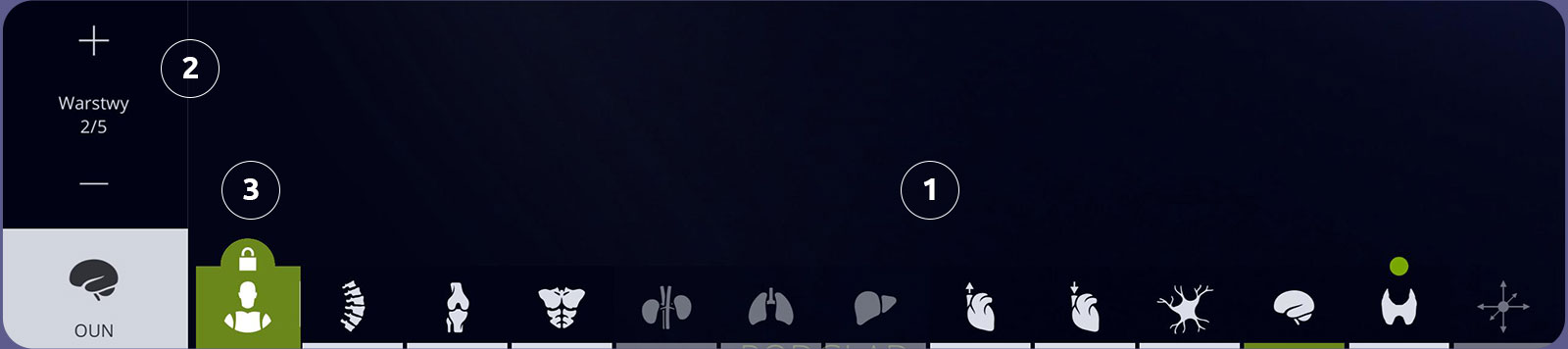 Interfejs użytkownika Anatomyka