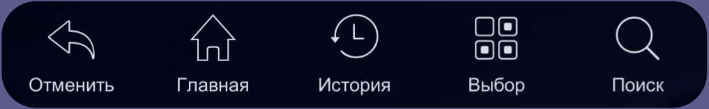 Anatomyka User interface