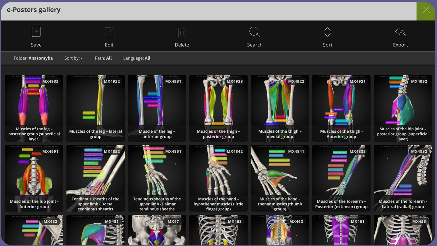 Anatomyka User interface