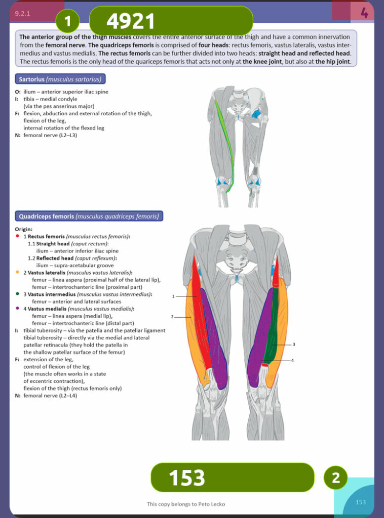 Memorix anatomyka eposter en